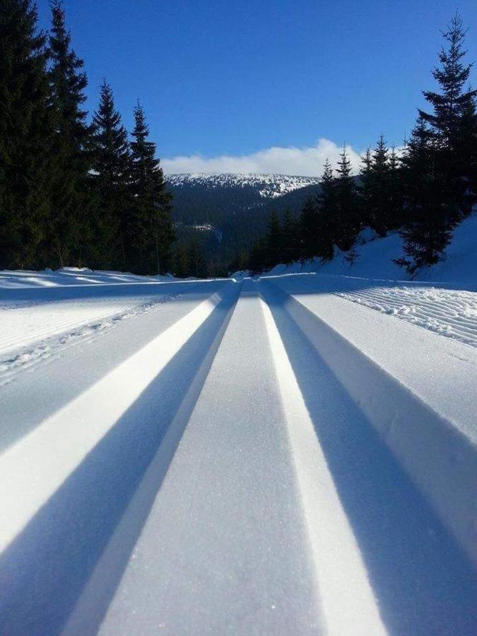 Pensjonat Trojak Lądek-Zdrój Exteriér fotografie